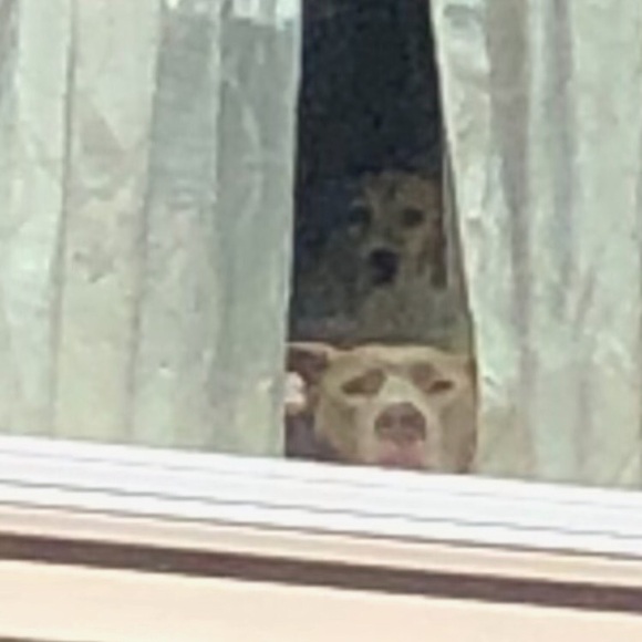 🫧🍄L.  I.  V.  E.🍄🫧 - Picture 6 of 9